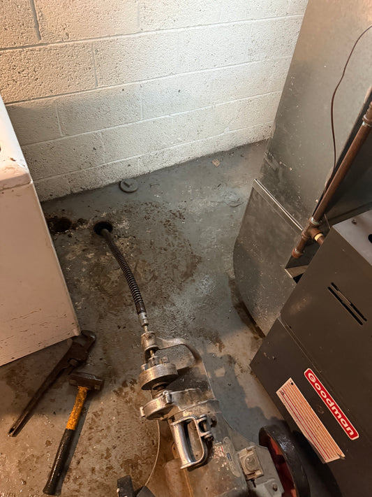 Main Drain Snaking